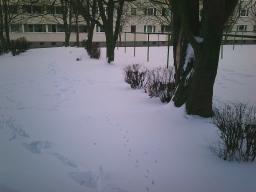 Digital Camera