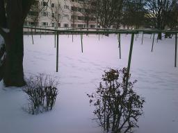 Digital Camera