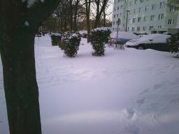 Digital Camera