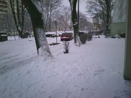 Digital Camera