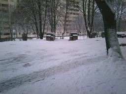 Digital Camera