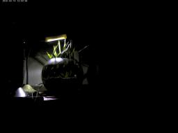 This photo is taken by AllWinner's v3-sdv