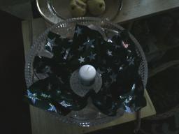 Digital Camera