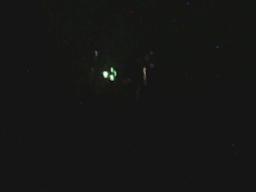 Digital Camera