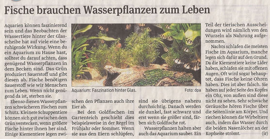 fische_10_1_2013_volksstimme_kl