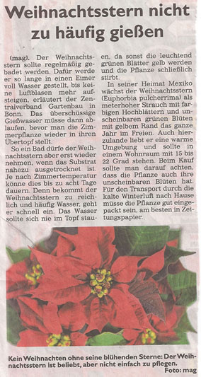 weihnachsstern_27_12_2012_generalanzeiger_kl