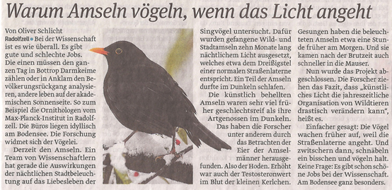 amsel_15_2_2013_volksstimme_kl