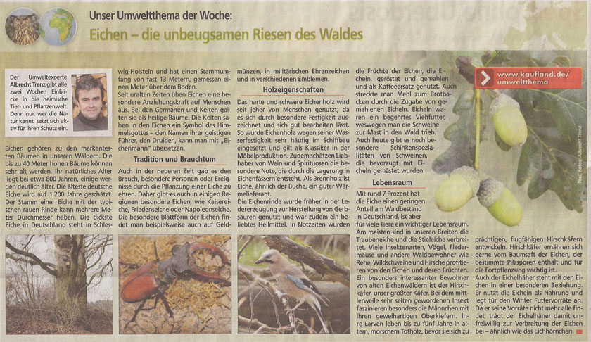 kaefer_kauflandzeitung_4_2_2013_kl