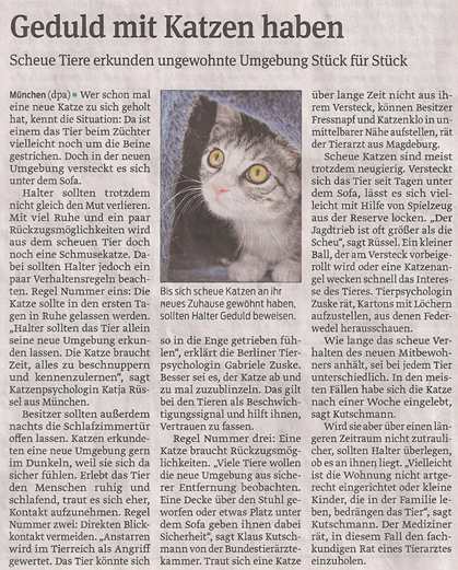 katzen_5_4_2013_volksstimme_kl