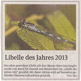 libelle_volksstimme_7_1_2013_kl