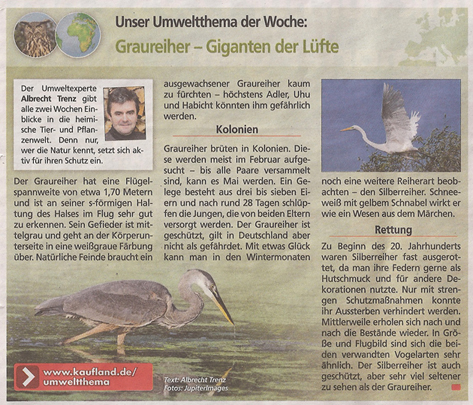 reiher_kauflandzeitung_18_2_2013_kl