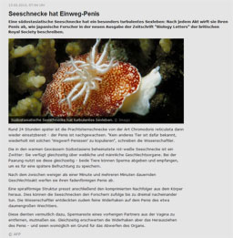 schnecke_kl