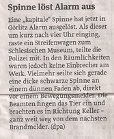 spinne_6_4_2013_volksstimme_kl