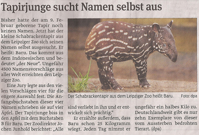 tapir_3_4_2013_volksstimme_kl