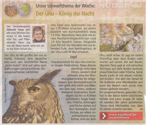 uhu_kauflandzeitung_21_1_2013_kl