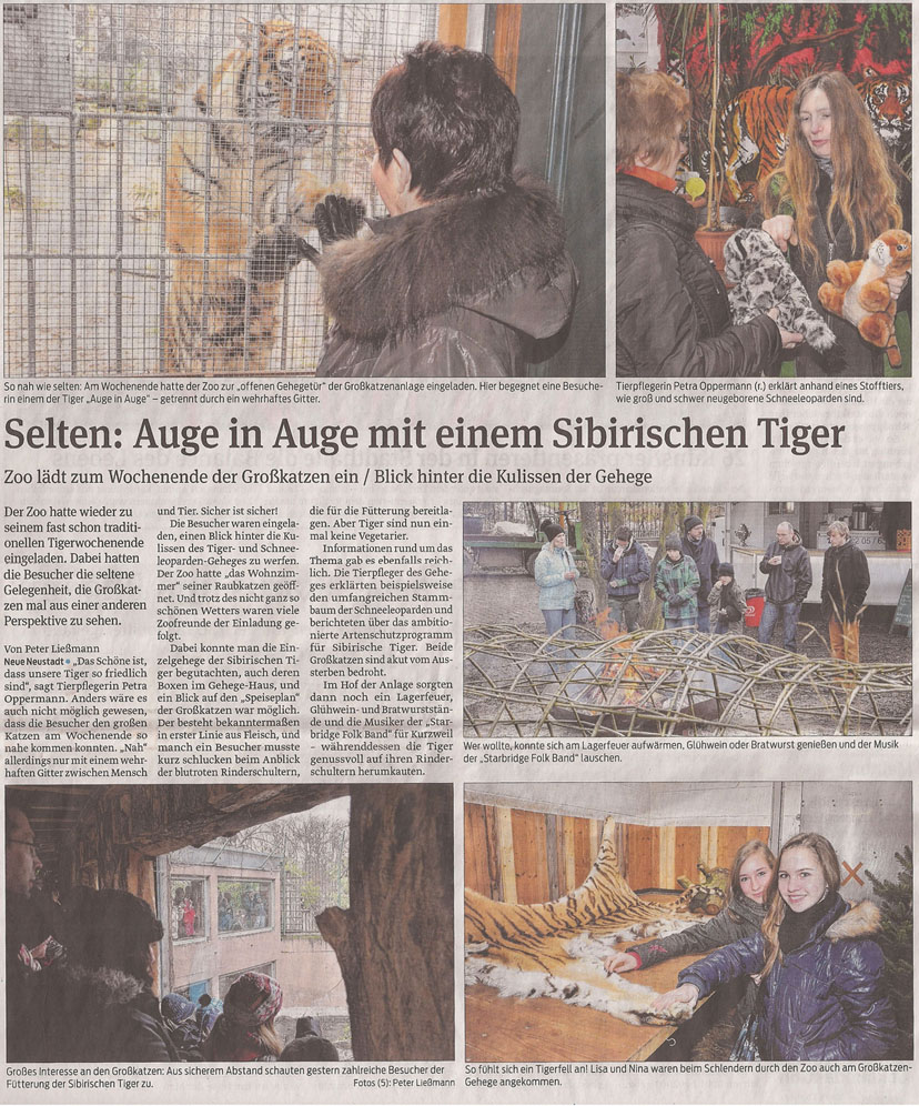 zoo_tieger_4_2_2013_volksstimme_kl