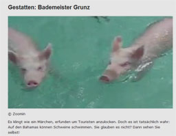 schwein_kl