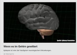 gehirn_kl