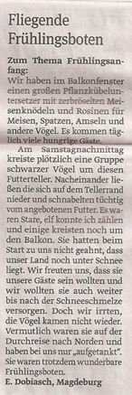 blumen1_28_3_2013_volksstimme_kl