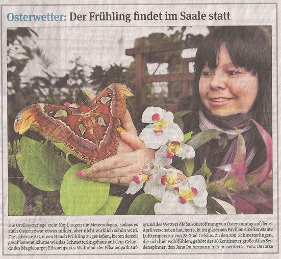 fruehling_26_3_2013_volksstimme_kl