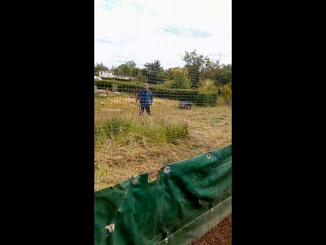 DSCF3560