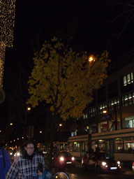 DSCF2968