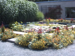 botanischer_garten1.jpg