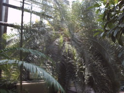 botanischer_garten9.jpg