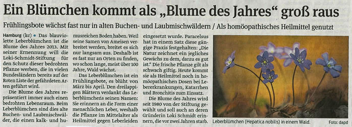 blume_des_Jahres_17_10_2012_volksstimme_kleiner.jpg