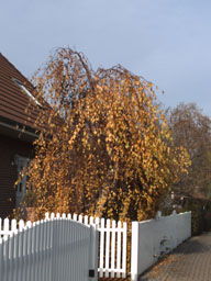 herbst 2012