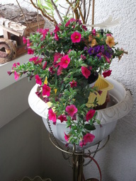 Sommer