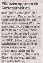 blumen_26_3_2013_volksstimme_kl