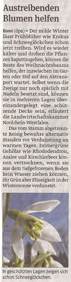 fruehling_schneegloeckchen_11_1_2013_volksstimme_kl