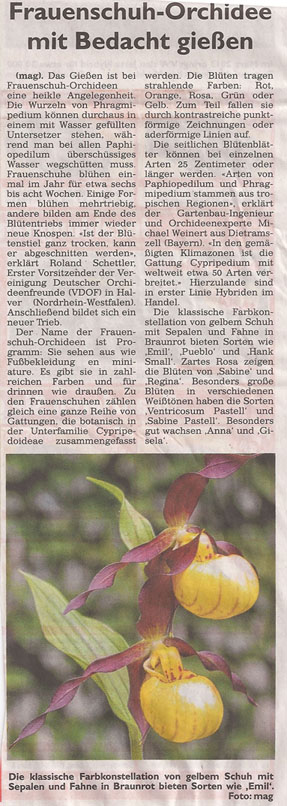 orchidee_2_1_2013_generalanzeiger_kl