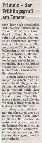 primeln_21_1_2013_volksstimme_kl